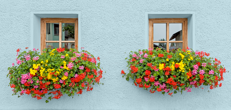 Dos jardineras con flores de colores